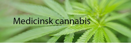 Temabillede om medicinsk cannabis med tekst