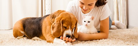 Pige ligger på gulvet med en hund og en kat