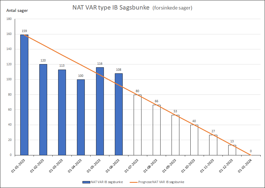 NAT VAR type IB Sagsbunke