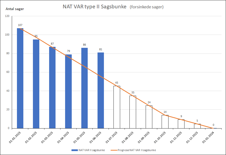 NAT VAR type II Sagsbunke