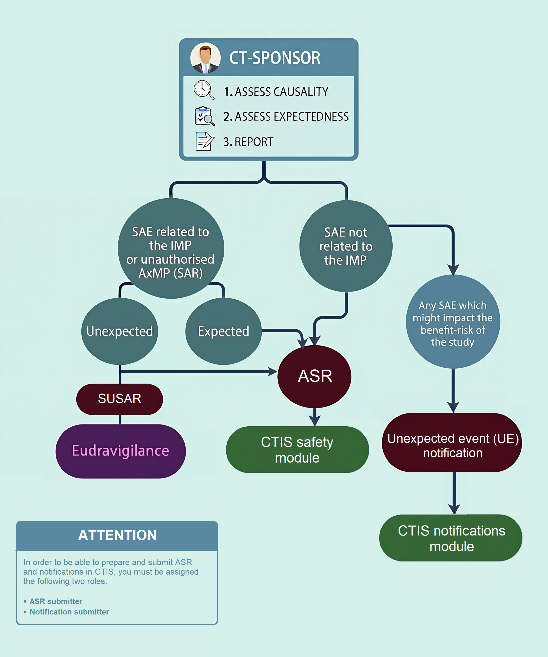 Flowdiagram showing the actions needed for reporting adverse events occuring during clinical trial 