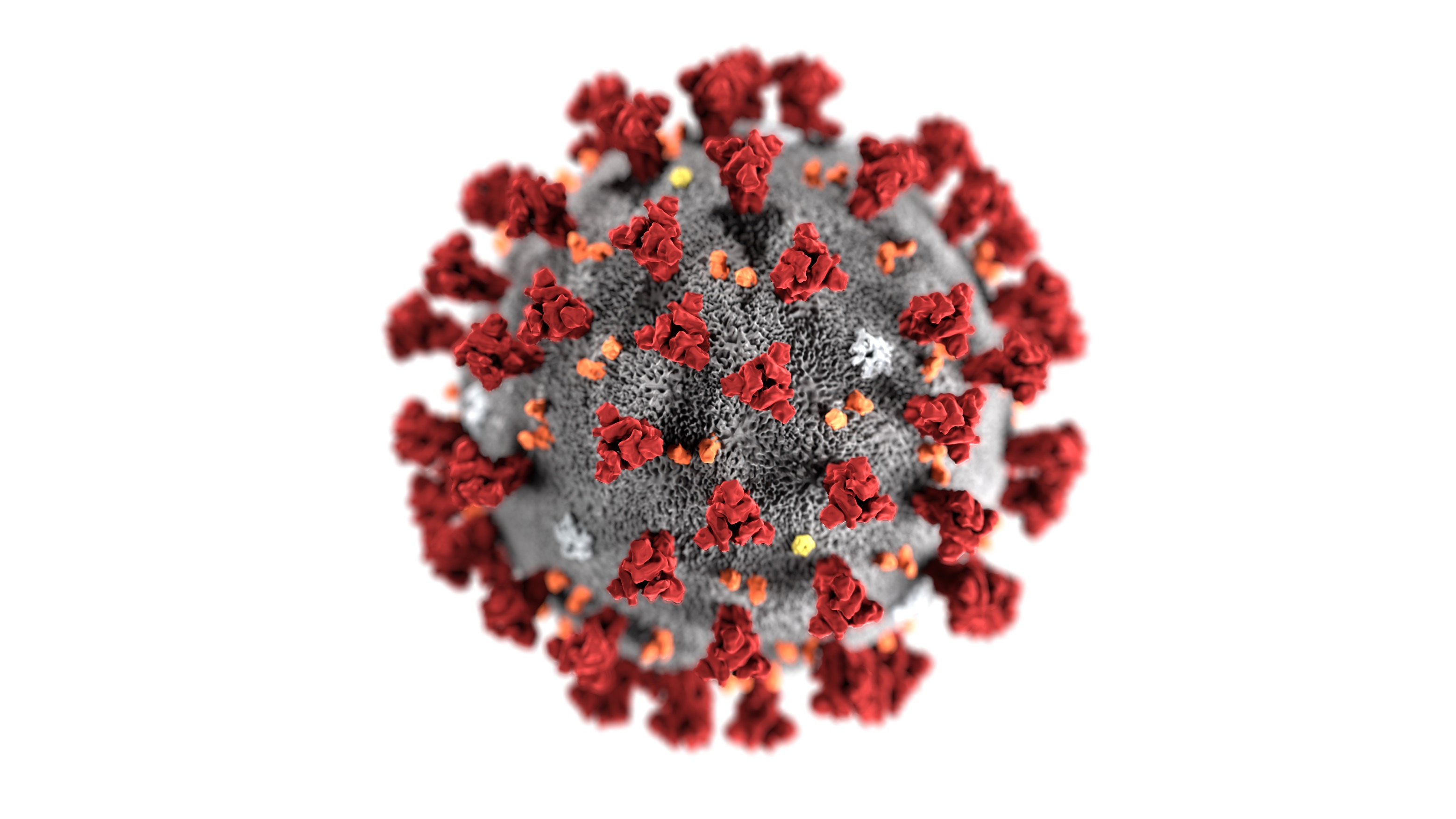 Illustration: Coronavirus with the red surface molecule called spike.