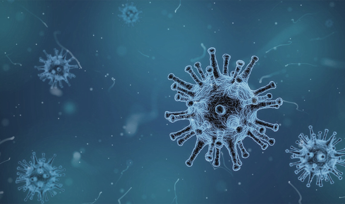 Myndighederne forbereder sig på en hurtig godkendelse af vaccine mod coronavirus